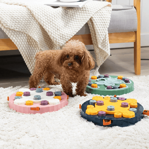 Puzzle anti-glouton interactif pour animaux qui permet d'occuper et divertir