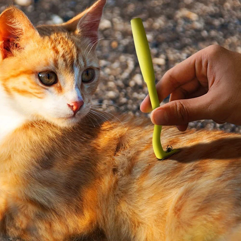 Utilisation facile de notre pince à tiques en plastique pour chien et chat