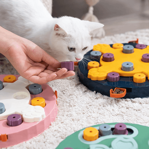 Stimulation mentale et physique avec notre puzzle anti-glouton interactif pour chat et chien