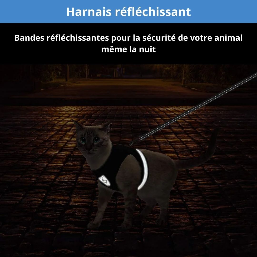 Harnais réfléchissant pour chat et petit chien