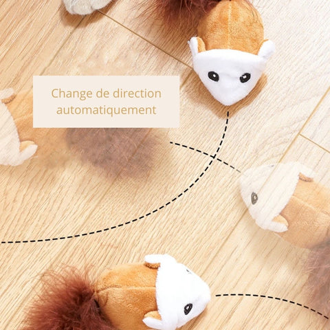 Divertissement interactif intelligent avec notre souris interactive pour chat