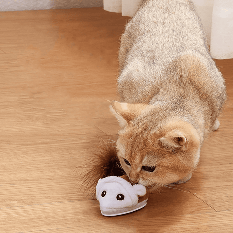 Stimulation de l'instinct de chasse de votre chat