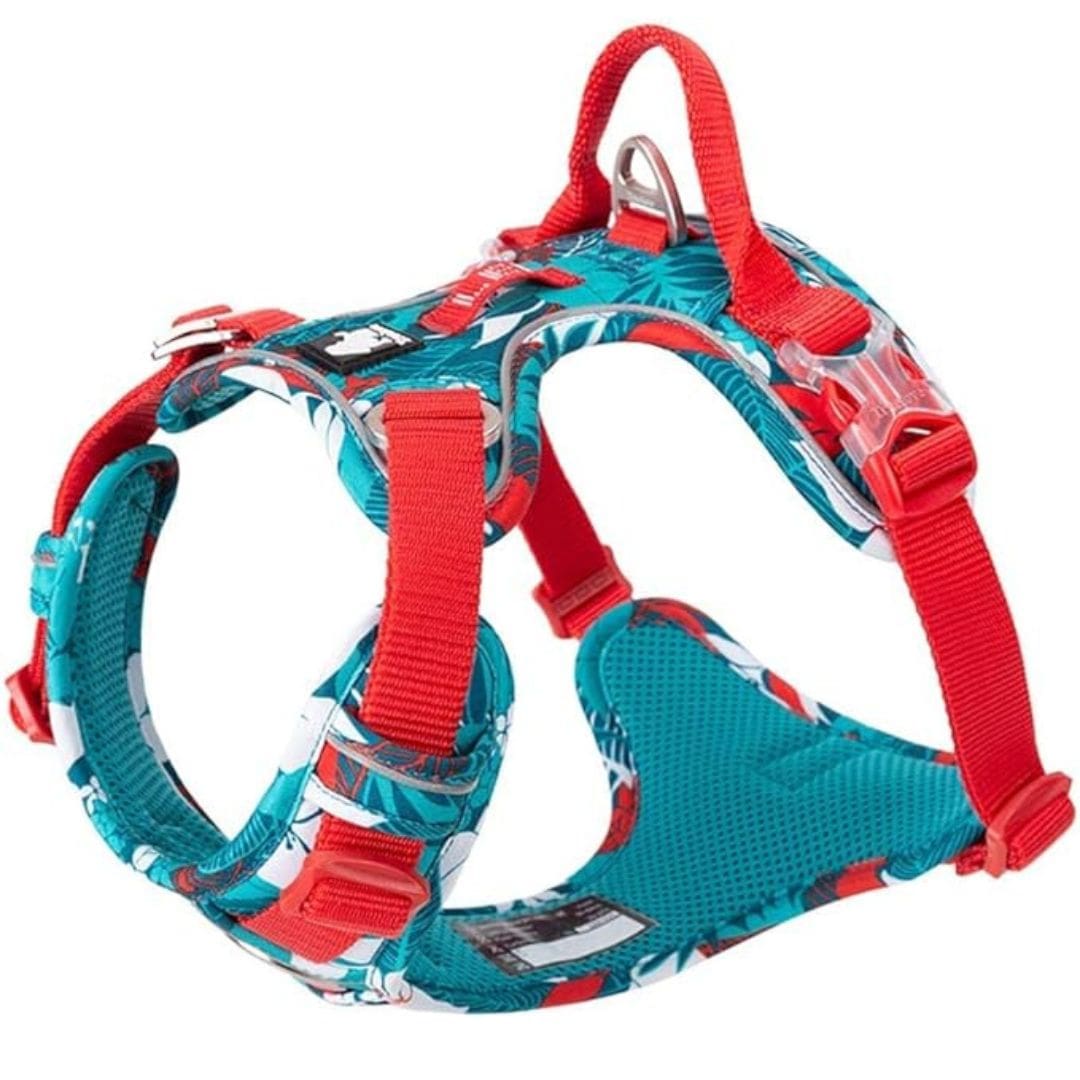 Conception ergonomique de notre harnais anti traction pour chien - Edition Floral