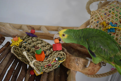 Woven pinata - sloop speeltje voor vogels