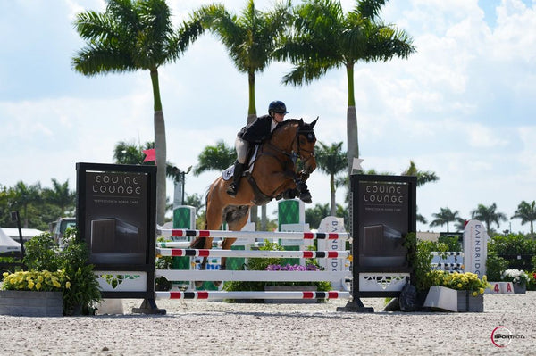 Showjumper leaping an Equine Lounge jump