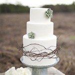 Rustic Succulent Wedding Cake