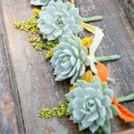 Succulents for the groomsman
