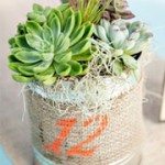 Table Numbers with Succulents