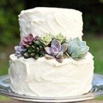 Succulent Wedding Cake Decor