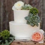 Succulent Cake Topper