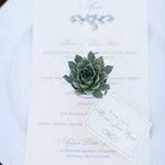 Succulent Name cards