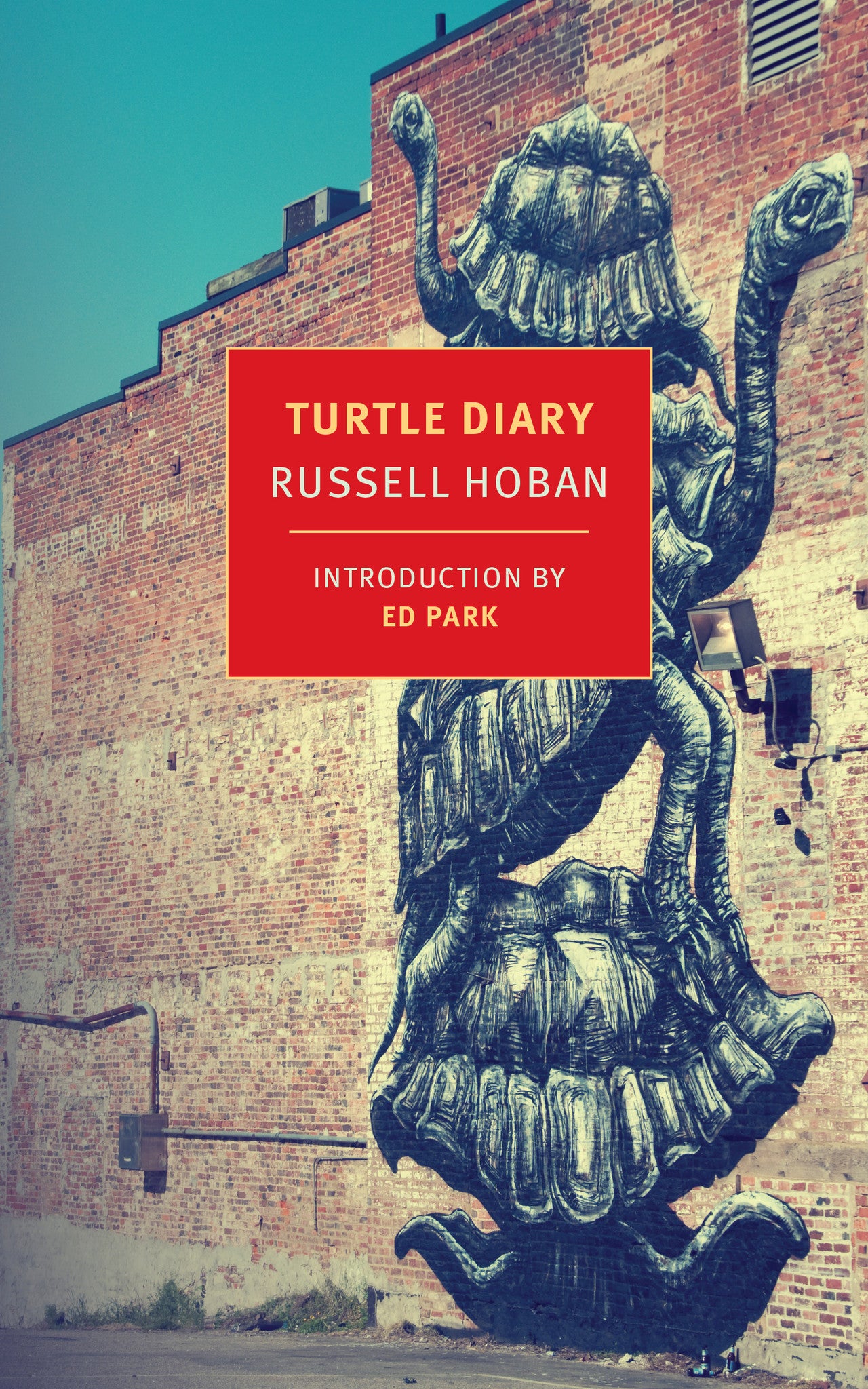 farm animal typing turtle diary