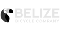 Belize Bicycle Company Replacement Rebuild Lithium Battery Pack