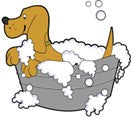 Cartoon Dog in Bath