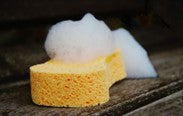 Sponge with soap on