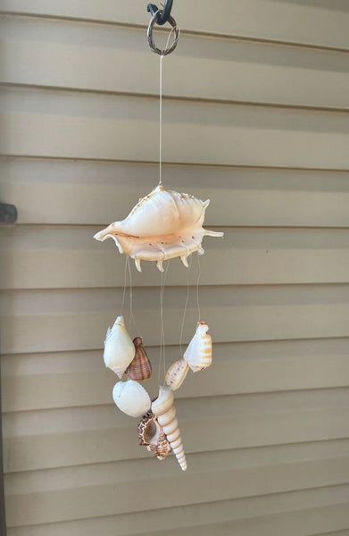 DIY seashell wind chimes