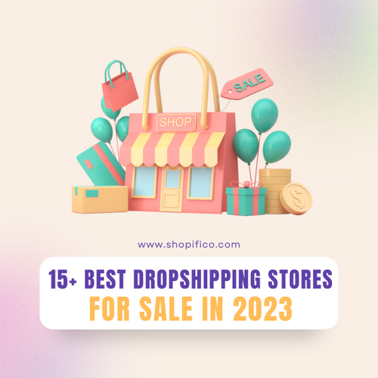 Best Dropshipping Store provider