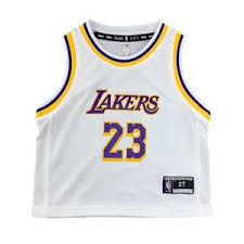 lebron james authentic lakers jersey