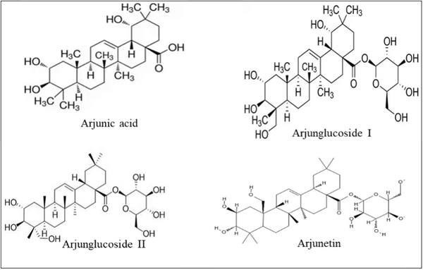 Arjuna chemistry