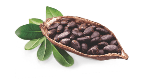 Flavanols