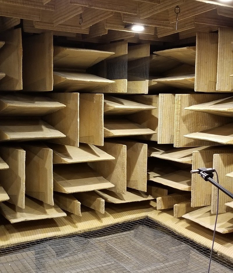 Echoic and anechoic chambers