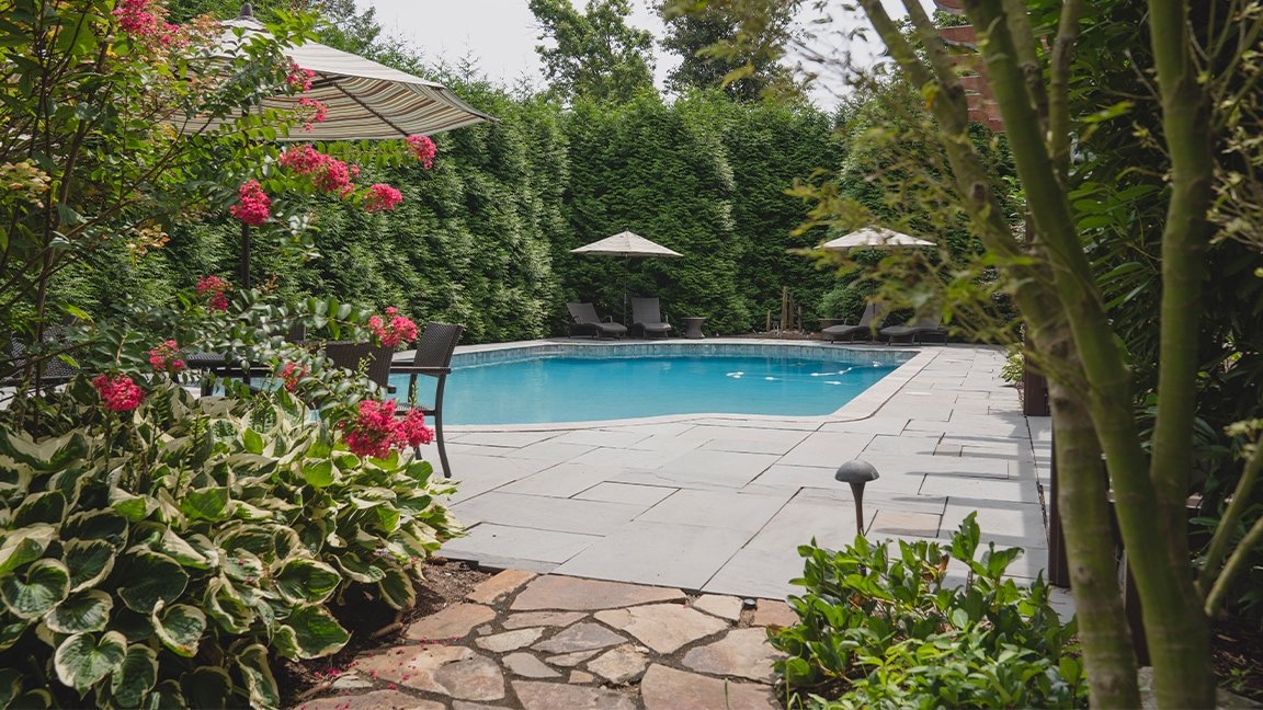 in-ground pool and foliage