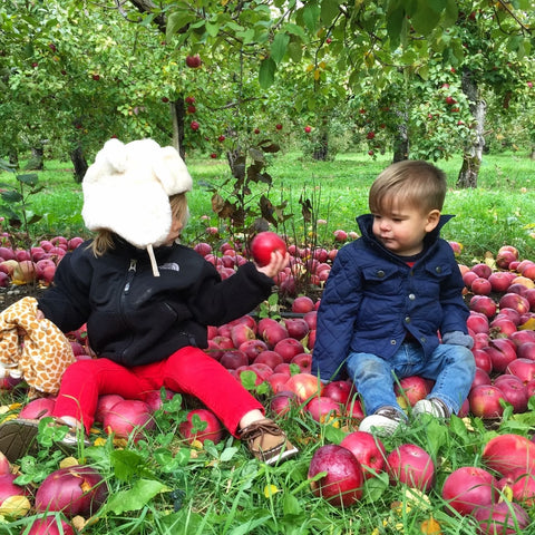 2 toddlers sitting in an apple orchard