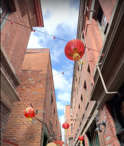 Lanterns-Lunar-New-Year