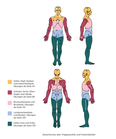 Locations of cupping physiotherapy