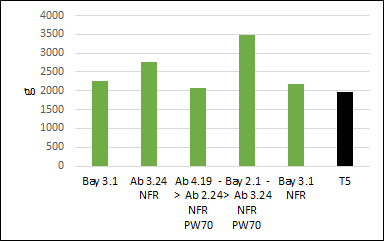 tomato_weight4