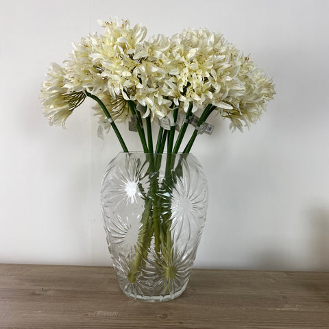 Daisy Large Glass Vase and Agapanthus Flowers