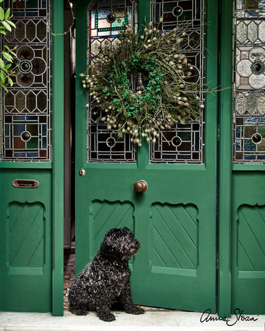 Green painted from door with black dog and wreath