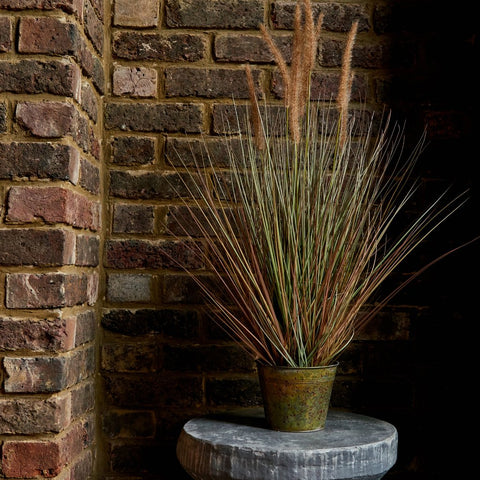 Textured Wall contrasting with faux grasses in a plant pot