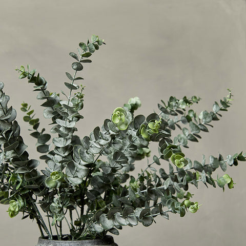 Artificial Eucalyptus Stems by Abigail Ahern