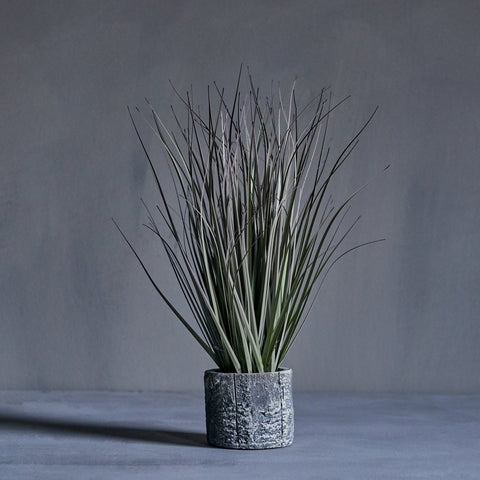 Dried Grass in a pot