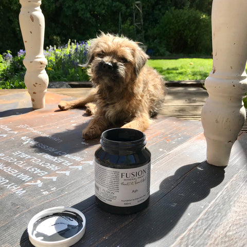 Fusion Mineral Paint Ash with Border Terrier Dog