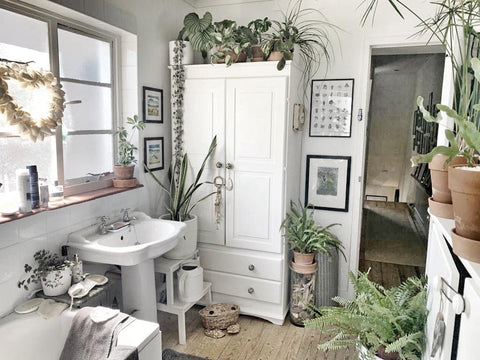 All white bathroom with lots of plants