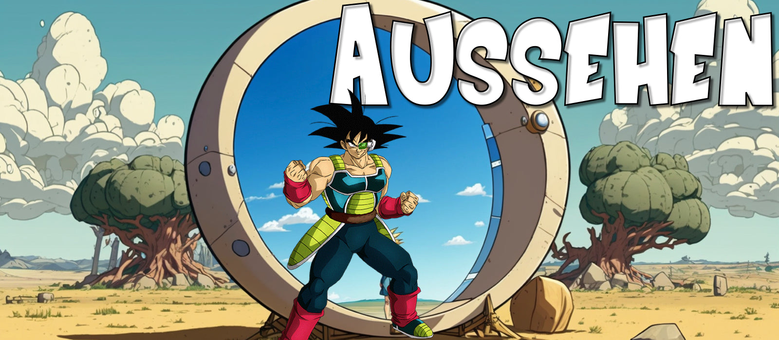 bardock Aussehen