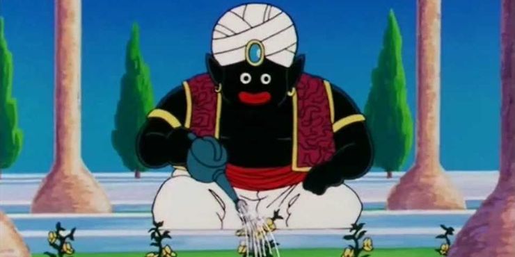 Mr popo Pflanzen