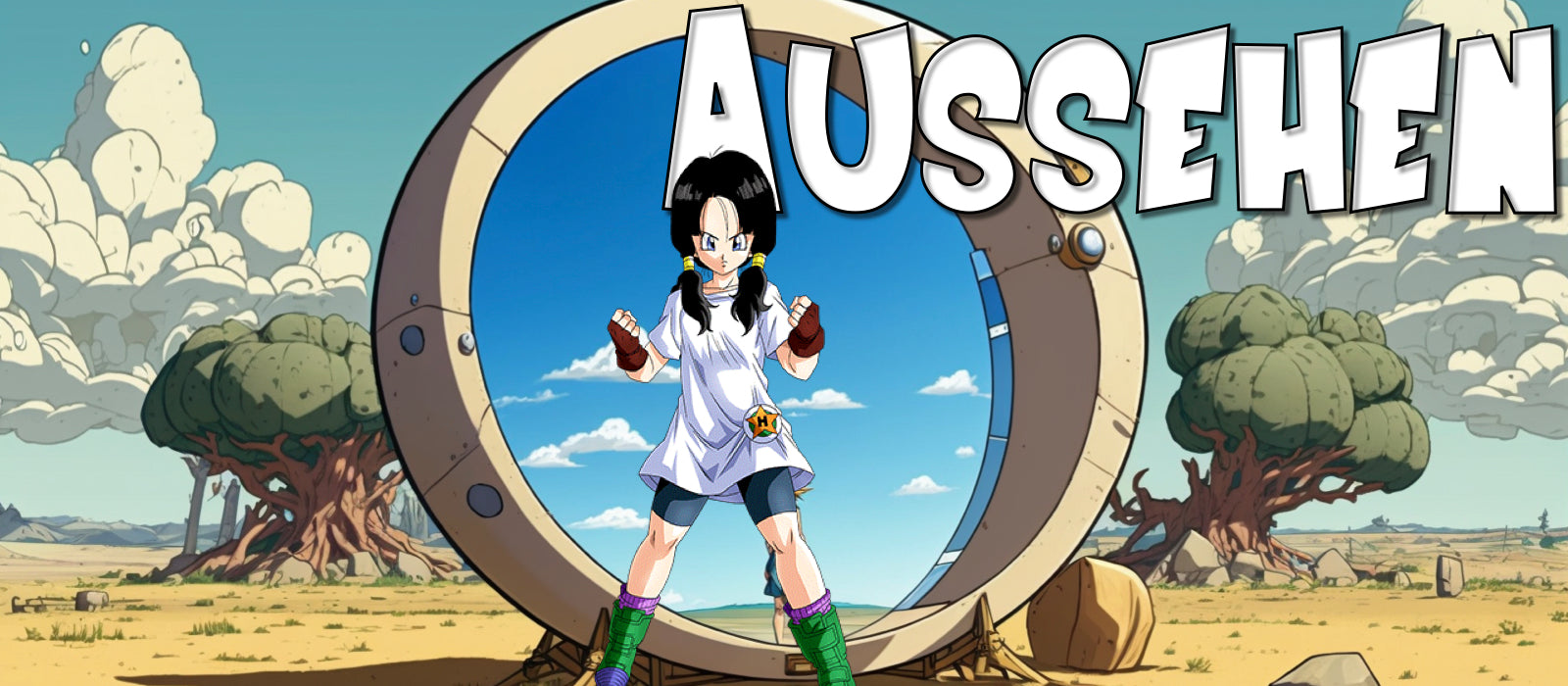 videl Aussehen