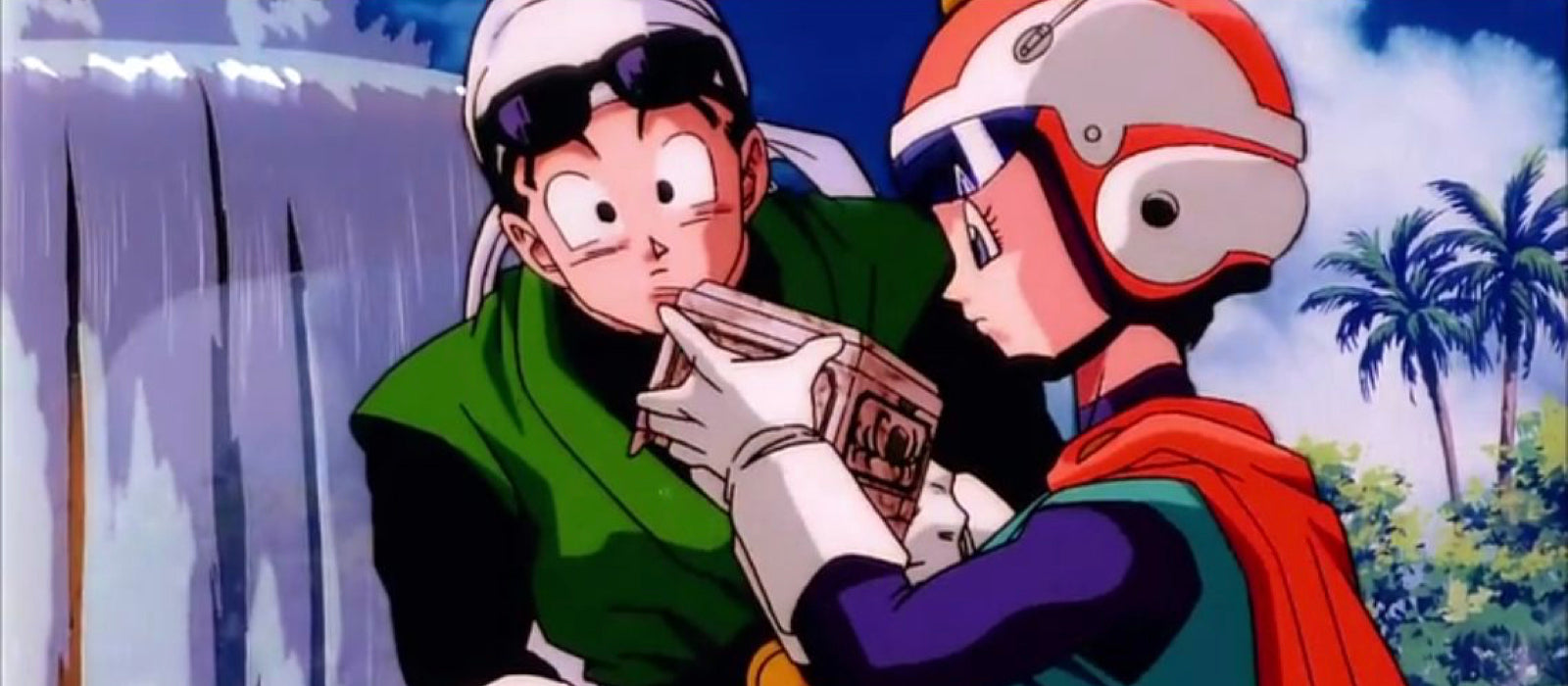 videl und gohan