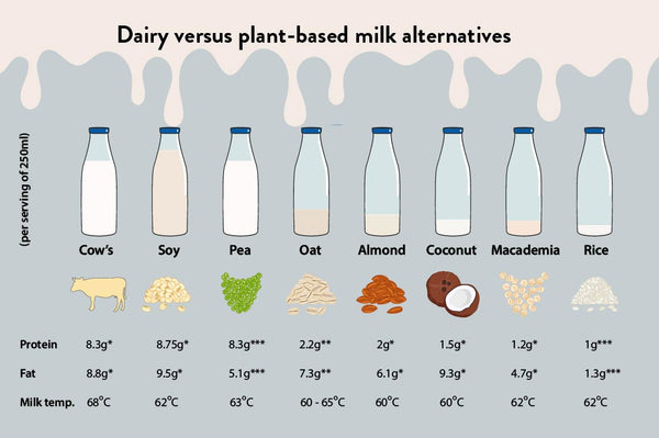 milk temperature for coffee using plant-based milks