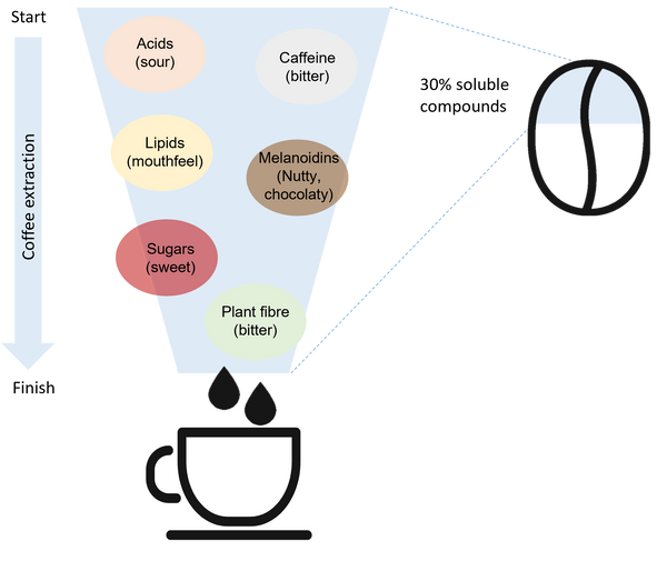 A Shot of Science: Perfecting Espresso Extraction for Maximum Flavor