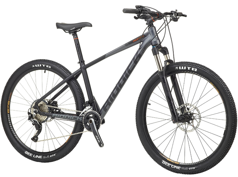 riddick mountain bike