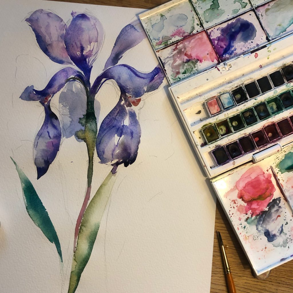 Watercolour Iris flower painting