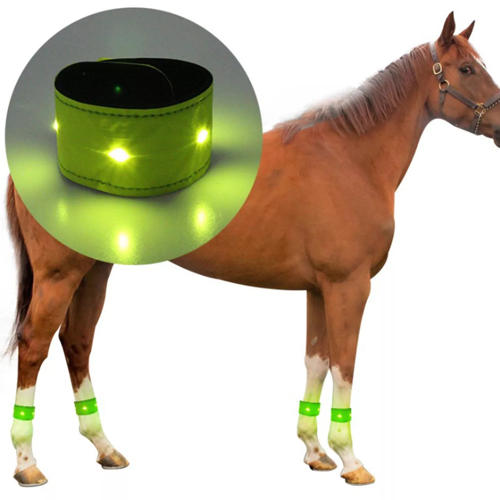 LED Luminous Horse Leg Protection Belt