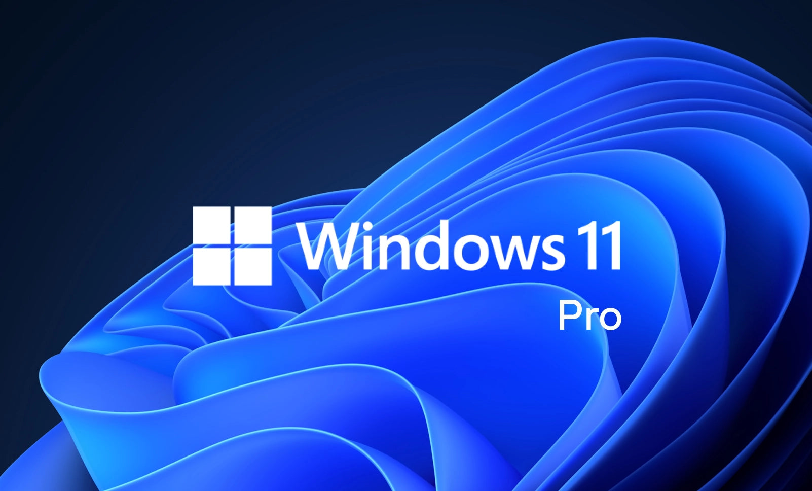 Windows11 Logo | lupon.gov.ph