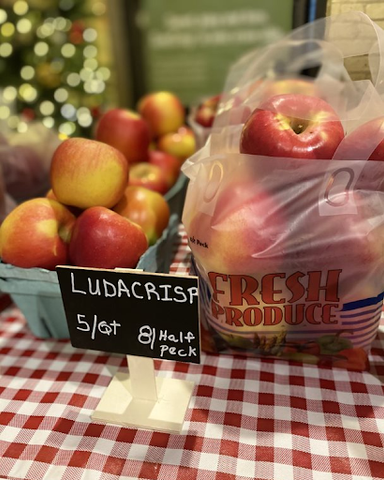 A bunch of fresh ludacrisp apples from The Commons Farmer's Market.