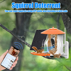 Smart Bird Feeder with Camera APP Night Vision 1080P HD Wireless Solar Panel - yourcasuallifestore