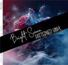 Bright Swan - Patterned Vinyl & HTV - 500138